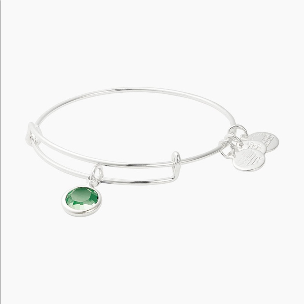 ❌SOLD alex and ani bracelet bangle